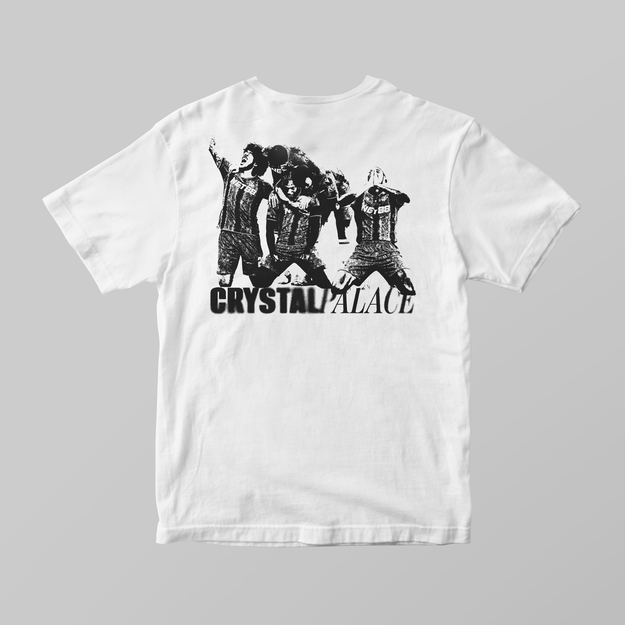 Crystal Palace FA Cup Graphic T-Shirt | Premium Printed Tee - KDDesigns6
